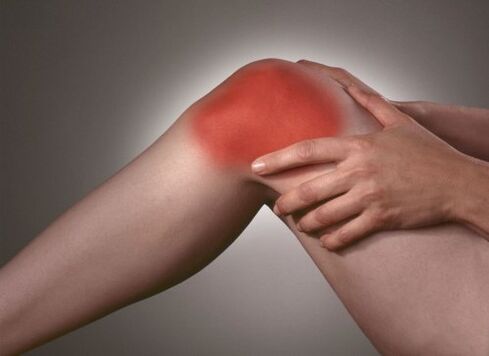 Knee joints