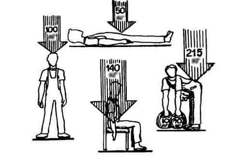 Loads on the spine at different positions